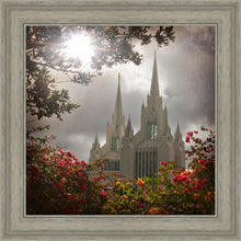 Load image into Gallery viewer, San Diego Brightness and Glory
