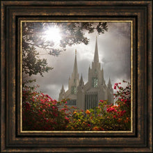 Load image into Gallery viewer, San Diego Brightness and Glory