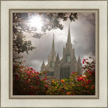 Load image into Gallery viewer, San Diego Brightness and Glory