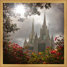 Load image into Gallery viewer, San Diego Brightness and Glory