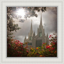 Load image into Gallery viewer, San Diego Brightness and Glory