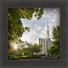 Load image into Gallery viewer, Seattle Brightness and Glory