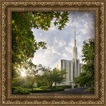 Load image into Gallery viewer, Seattle Brightness and Glory