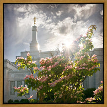 Load image into Gallery viewer, Spokane Brightness and Glory