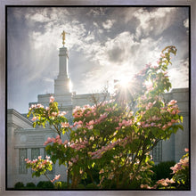 Load image into Gallery viewer, Spokane Brightness and Glory