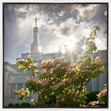 Load image into Gallery viewer, Spokane Brightness and Glory