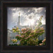 Load image into Gallery viewer, Spokane Brightness and Glory