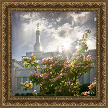 Load image into Gallery viewer, Spokane Brightness and Glory