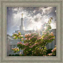 Load image into Gallery viewer, Spokane Brightness and Glory