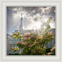Load image into Gallery viewer, Spokane Brightness and Glory