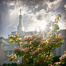 Load image into Gallery viewer, Spokane Brightness and Glory