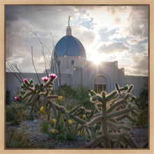 Load image into Gallery viewer, Tucson Brightness and Glory