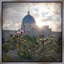 Load image into Gallery viewer, Tucson Brightness and Glory