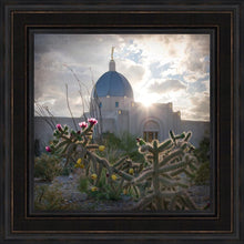 Load image into Gallery viewer, Tucson Brightness and Glory
