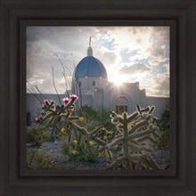 Load image into Gallery viewer, Tucson Brightness and Glory