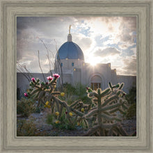 Load image into Gallery viewer, Tucson Brightness and Glory