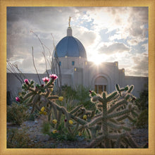 Load image into Gallery viewer, Tucson Brightness and Glory