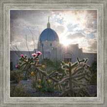 Load image into Gallery viewer, Tucson Brightness and Glory