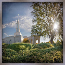 Load image into Gallery viewer, Sacramento Brightness and Glory
