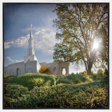 Load image into Gallery viewer, Sacramento Brightness and Glory