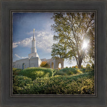 Load image into Gallery viewer, Sacramento Brightness and Glory
