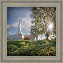 Load image into Gallery viewer, Sacramento Brightness and Glory