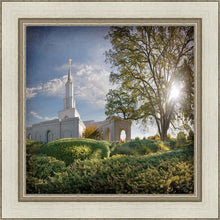 Load image into Gallery viewer, Sacramento Brightness and Glory