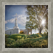 Load image into Gallery viewer, Sacramento Brightness and Glory