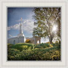 Load image into Gallery viewer, Sacramento Brightness and Glory