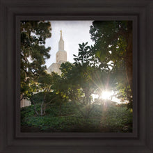 Load image into Gallery viewer, Los Angeles Brightness and Glory