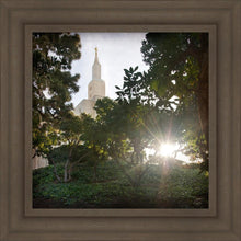 Load image into Gallery viewer, Los Angeles Brightness and Glory