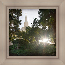 Load image into Gallery viewer, Los Angeles Brightness and Glory