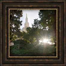 Load image into Gallery viewer, Los Angeles Brightness and Glory