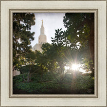 Load image into Gallery viewer, Los Angeles Brightness and Glory