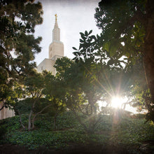 Load image into Gallery viewer, Los Angeles Brightness and Glory