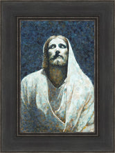 Load image into Gallery viewer, In The Light