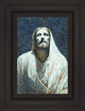 Load image into Gallery viewer, In The Light