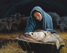 Load image into Gallery viewer, The Young Messiah
