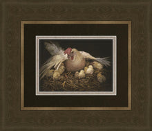 Load image into Gallery viewer, I Would Gather Thee