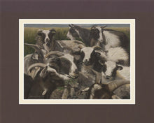 Load image into Gallery viewer, Sheep And Goats