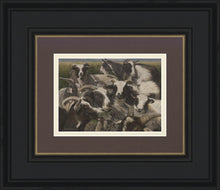 Load image into Gallery viewer, Sheep And Goats