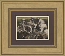 Load image into Gallery viewer, Sheep And Goats
