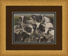 Load image into Gallery viewer, Sheep And Goats