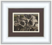 Load image into Gallery viewer, Sheep And Goats