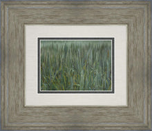 Load image into Gallery viewer, The Wheat And The Tares