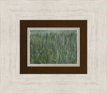 Load image into Gallery viewer, The Wheat And The Tares