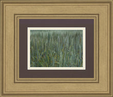 Load image into Gallery viewer, The Wheat And The Tares