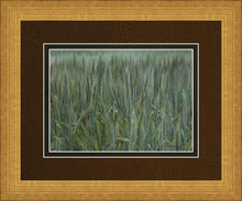 Load image into Gallery viewer, The Wheat And The Tares