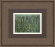 Load image into Gallery viewer, The Wheat And The Tares