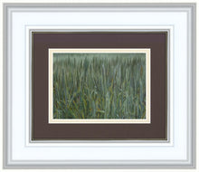 Load image into Gallery viewer, The Wheat And The Tares